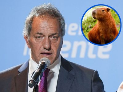 La idea de Daniel Scioli para evitar la superpoblación de carpinchos en Nordelta