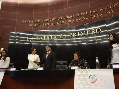 En 30 días perderá el fuero y será demandada por abuso de poder, le dicen a Robles en el Senado