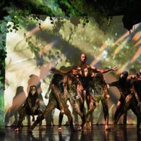 Delfos en Bellas Artes: danza, exposición y develación de placa por 30 años de trayectoria