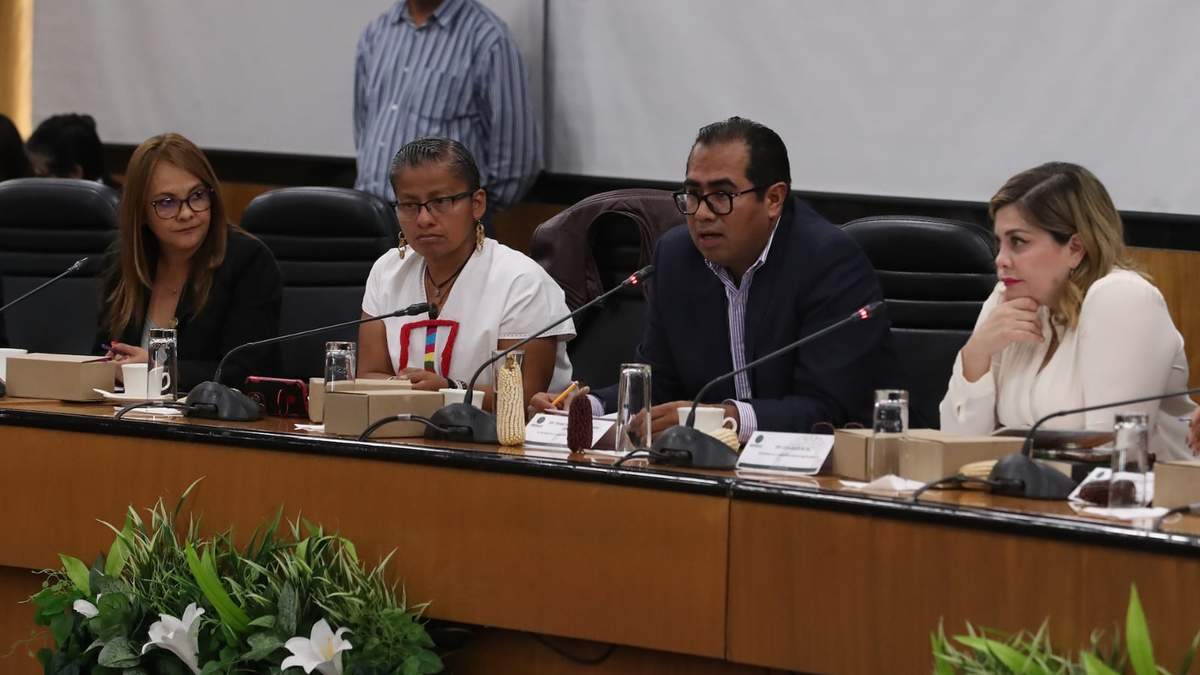 Integrantes de la comisión mostraron mazorcas de maíz durante la discusión