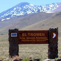 La Laguna Tromen se secó y mucha de su fauna y vegetación se perdió