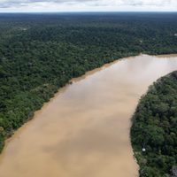 Una teoría que cobra fuerza: la pesca ilegal podría estar detrás de la desaparición en la Amazonía