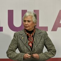 México no dará armas a Ucrania, responde Sánchez Cordero