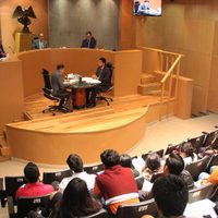 Sala regional del TEPJF regresa siete diputaciones plurinominales a Morena en Oaxaca