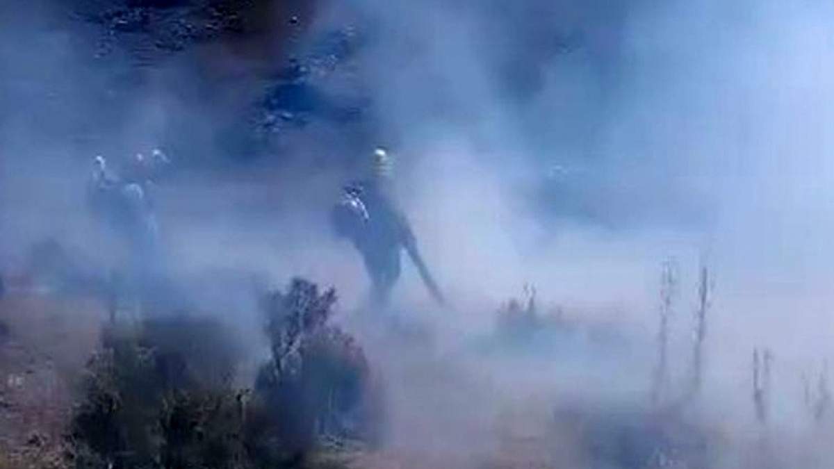 Incendio. Fuente: (X)