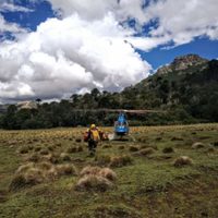 Mientras combaten los incendios, el Comando de Incidentes evalúa las acciones en el PNL