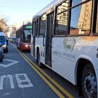 ¿No más colectivos?: Podrían prohibir su circulación sobre Avenida Argentina