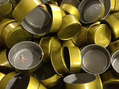 Reutilizá las latas de atún y convertilas en estos increíbles portarretratos para tu heladera con esta idea súper fácil