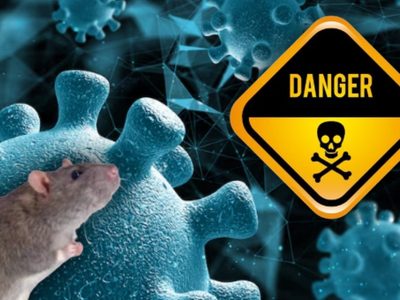 ¿Cuál es la mortalidad por hantavirus, hay tratamiento contra esta enfermedad?