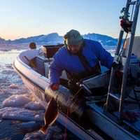 "Hace demasiado calor": Pescadores en Groenlandia, bajo la amenaza del cambio climático