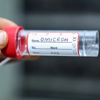 Variante Ómicron: esto dijeron los científicos sudafricanos sobre si las vacunas funcionan o no