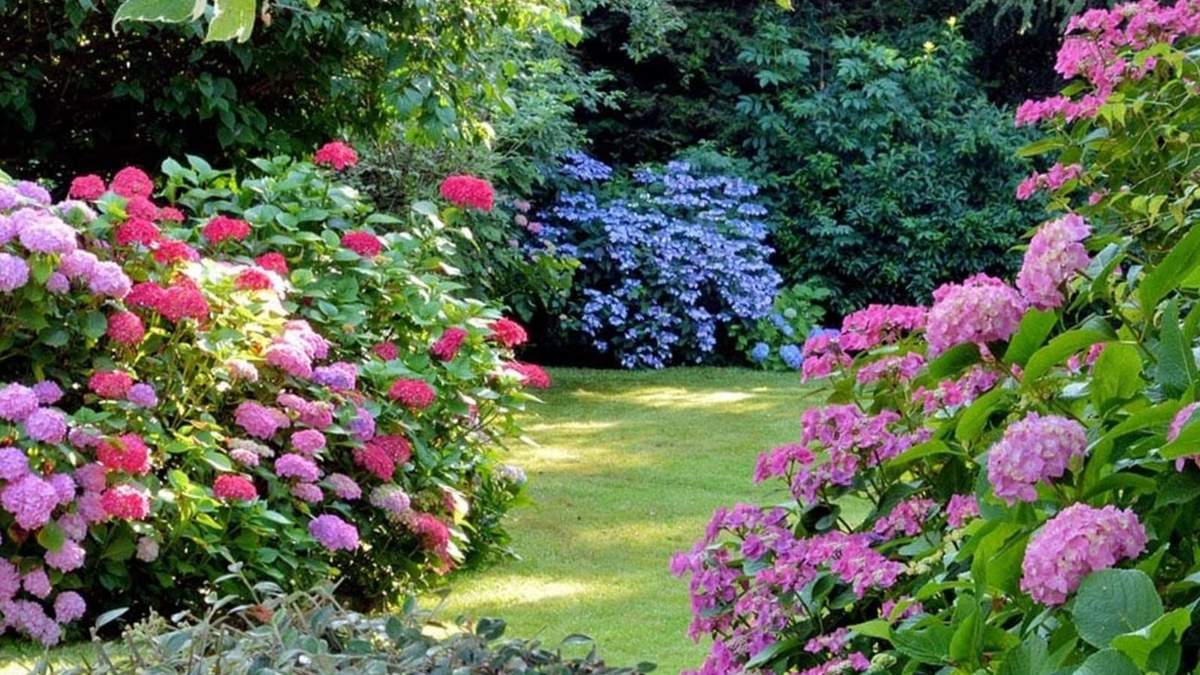 Plantas. Fuente: (Instagram)