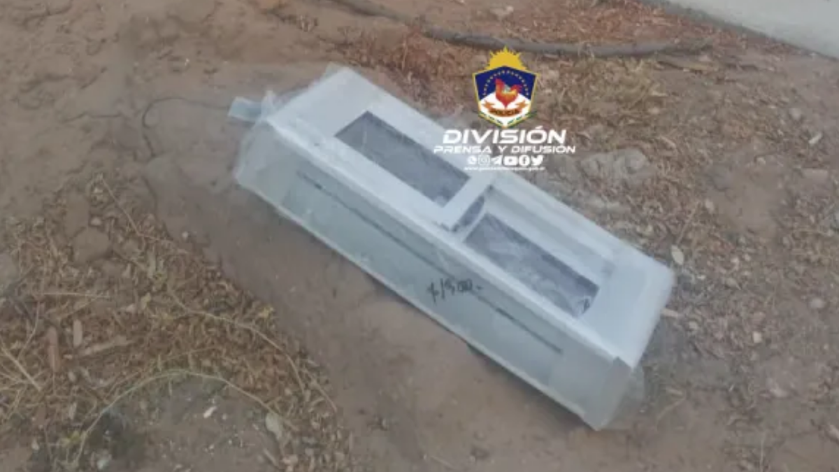 Un hombre detenido por el robo de una ventana. Fuente: (Policía de Neuquén)