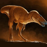 El nuevo tiranosaurio que reescribe la historia del T-rex