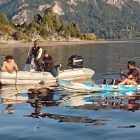 Rescataron a un cóndor que cayó al lago Traful en la zona norte del Parque Nacional Nahuel Huapi
