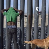 Arrestan en Tijuana a 34 migrantes por posesión de droga, riñas y ultrajes a la autoridad