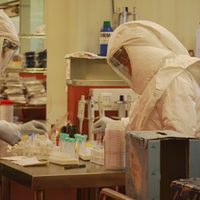 Confirman el primer caso de coronavirus en Mendoza: se trata de una mujer que volvió de Italia