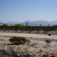 Cárceles: El negocio del cautiverio