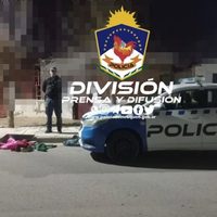 La policía detuvo a dos sujetos en pleno robo a una vivienda en Cutral Có