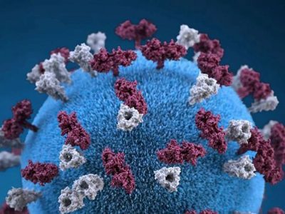 Emiten aviso epidemiológico ante el aumento de casos de sarampión