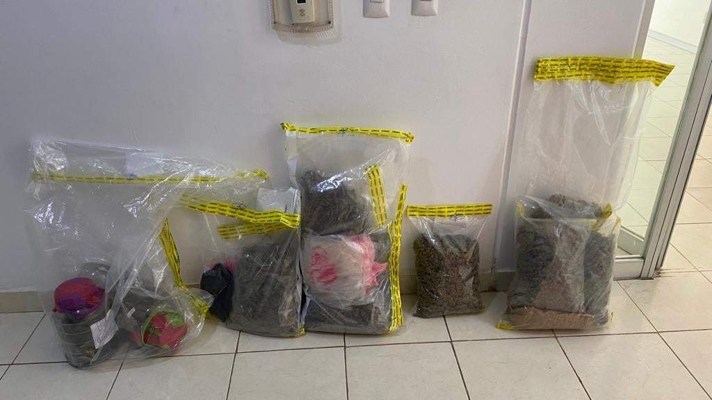 Productos con mariguana decomisados durante un cateo en Oaxaca