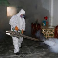 El Gobierno de Perú emitió la alerta epidemiológica por dengue: hay varios muertos
