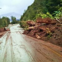 Alud sobre ruta 40: cuál es su estado actual en Villa La Angostura, según Vialidad