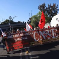 CNTE anuncia paro nacional de 72 horas y marcha en CDMX