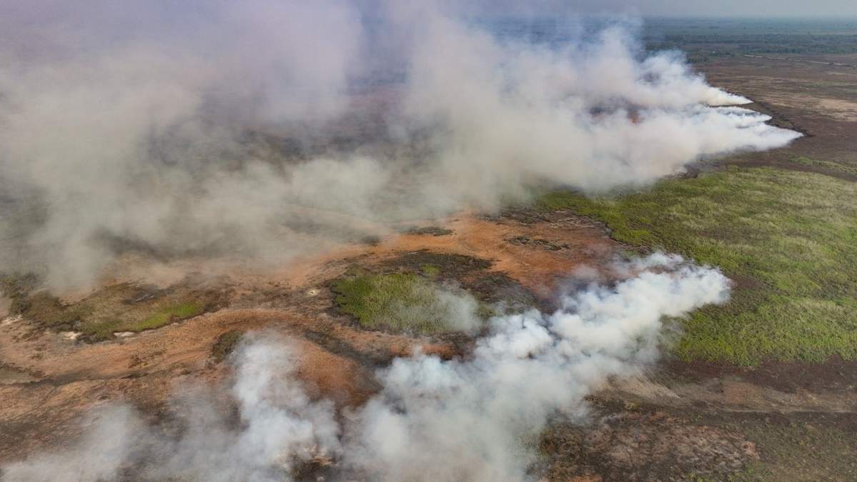 Incendio en Pantanal, amenaza al ecosistema