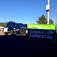 Detectan al menos 24 aserraderos clandestinos en el Ajusco