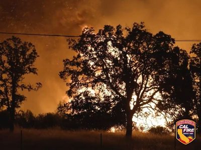 Ascienden a más de 80 mil los evacuados en Los Ángeles por incendios que avanzan sin control