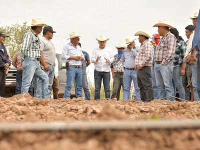 Con liderazgo de Gobernador Durazo se fortalece el campo sonorense; crece 18% actividad primaria