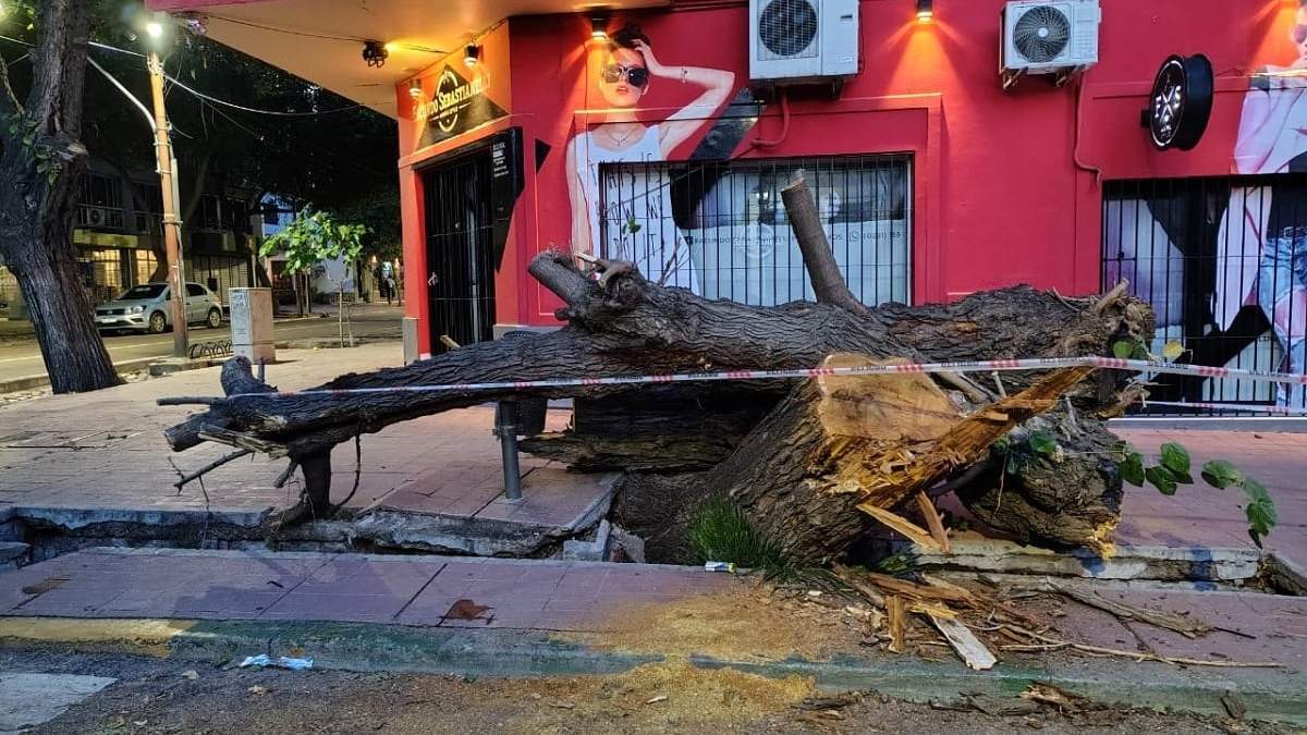 La postal que dejó la tormenta del sábado.