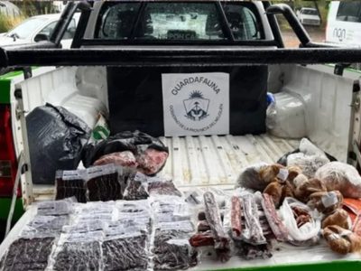 Controles simultáneos revelan caza ilegal y comercialización de productos de fauna silvestre sin certificación