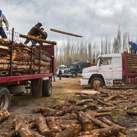 Continúa el Operativo Leña en el interior de la provincia