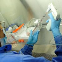 Tras error de AstraZeneca, OMS dice que necesita más datos para evaluar la vacuna