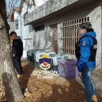 Vecinos del barrio Cumelén exigieron que se ocupen de los 50 animales que dejó una mujer en su casa