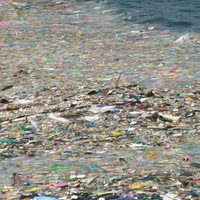 Del tamaño de Chihuahua, una isla con más de 100 millones de tons. de desechos flota en el Pacífico Norte