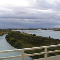 Reserva faunística: Puerto Santa Cruz, un lugar ideal para descansar