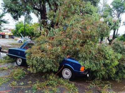Fuerte temporal en Miramar dejó dos muertos, barrios sin luz y árboles caídos