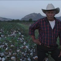 "A morir a los desiertos", documental que rescata el canto cardenche