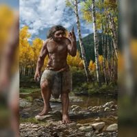 Un hallazgo revolucionario que redefine la evolución humana