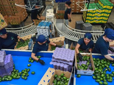 Amenaza de aranceles de Trump pone en riesgo aguacates y tequila mexicanos