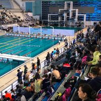 Los pleitos federativos hunden a la natación mexicana