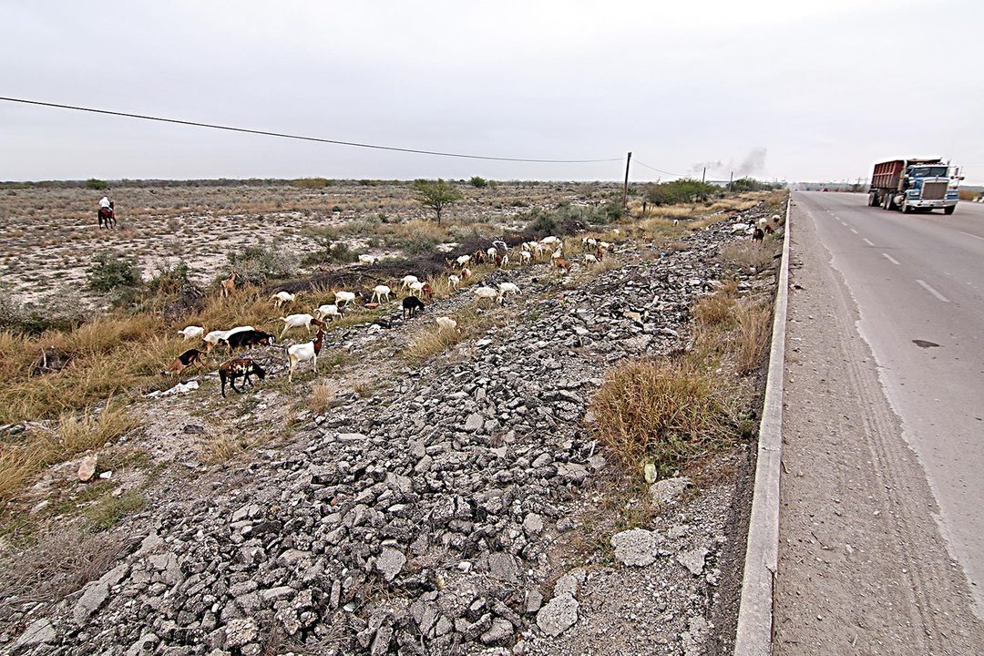 Seguridad6