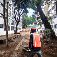 Damnificados emplazan a Sheinbaum: solución a demanda de vivienda o pondrán de cabeza a la CDMX