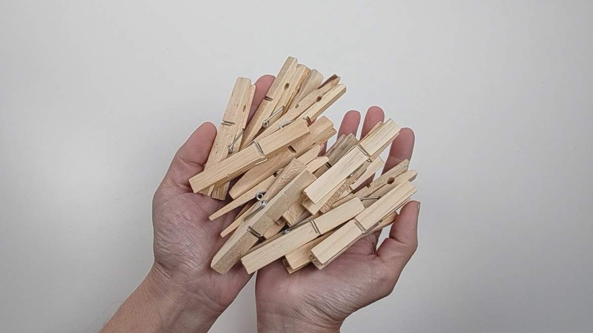 Broches. Fuente: (X)
