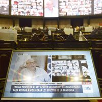 Impuesto a la riqueza: la ley de Máximo Kirchner consiguió media sanción en Diputados