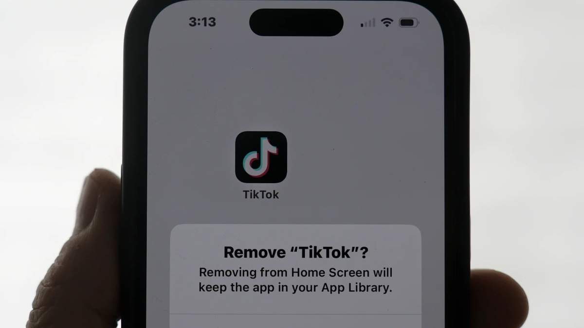 Pantalla de TikTok con el mensaje para aprobar eliminar la aplicación del teléfono