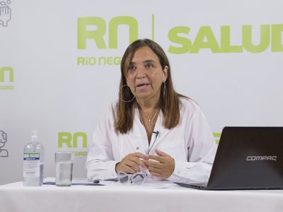 Mercedes Ibero renunció al Ministerio de Salud de Río Negro: los motivos